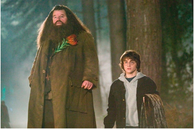 robbie coltrane trong phim harry potter qua doi hinh 1