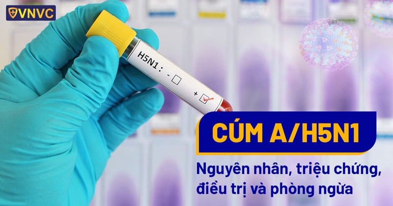 bo y te thong tin ve ca benh cum ga tren nguoi dau tien sau 8 nam hinh 1