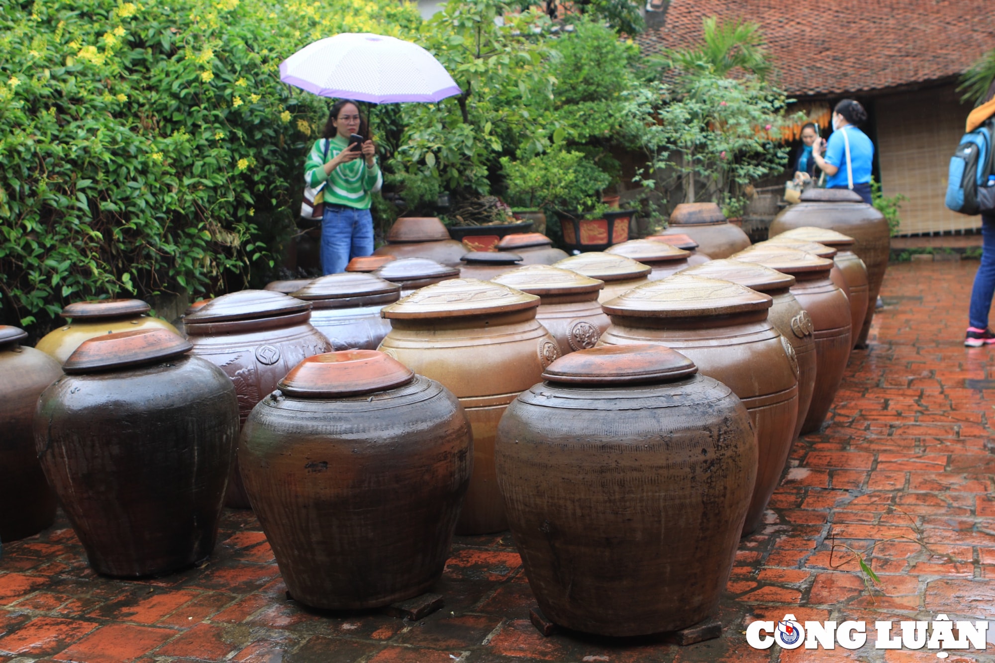 muc so thi khong gian sinh hoat tai lang viet co duong lam hinh 9