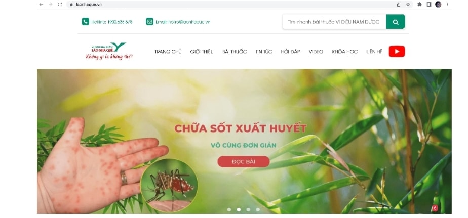nhung bai thuoc dan gian chua sot xuat huyet hinh 1