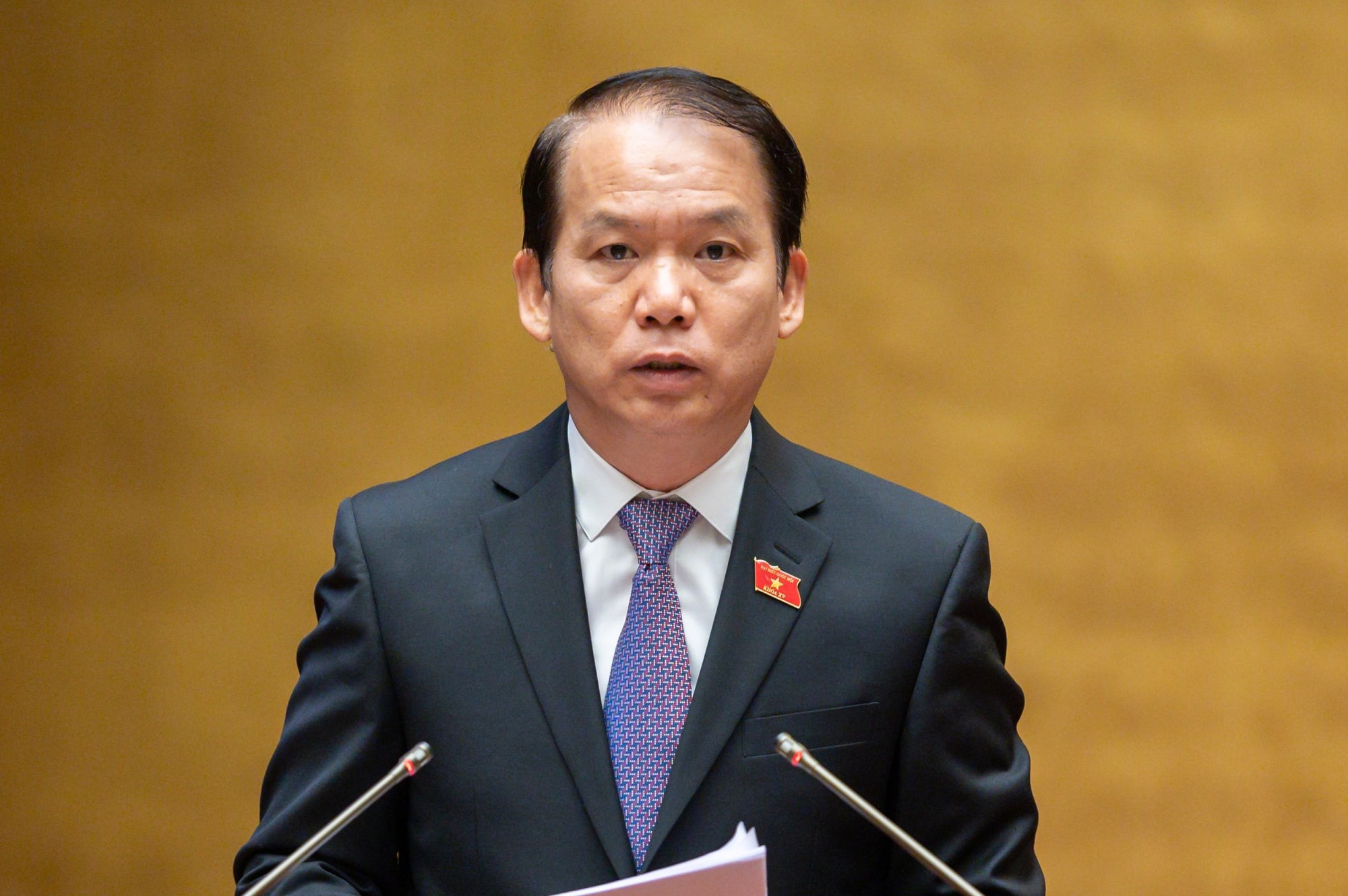 uy ban thuong vu quoc hoi de nghi quoc hoi cho giu thanh tra huyen hinh 2