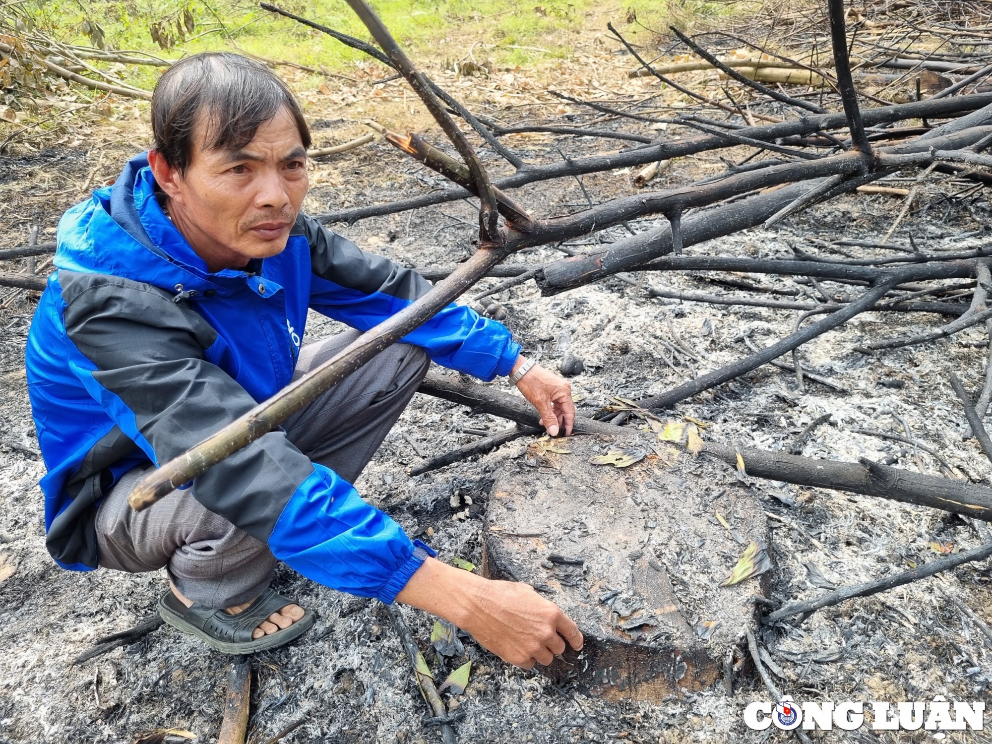 tan ky nghe an nguoi dan keu cuu vi bi chinh quyen cuong che vuon cao su 14 nam tuoi hinh 4