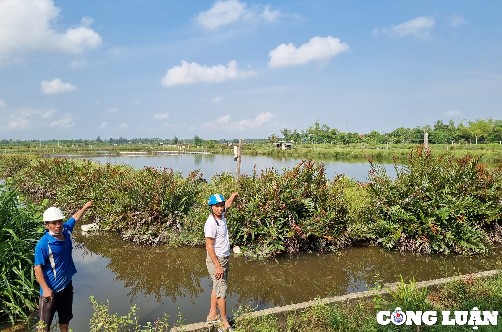 lap doan thanh tra vu xa cho thue dat trai tham quyen tai huyen loc ha hinh 1
