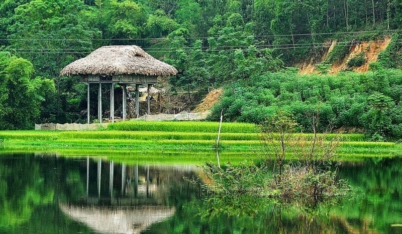 binh yen lang van hoa ngoi tu hinh 4