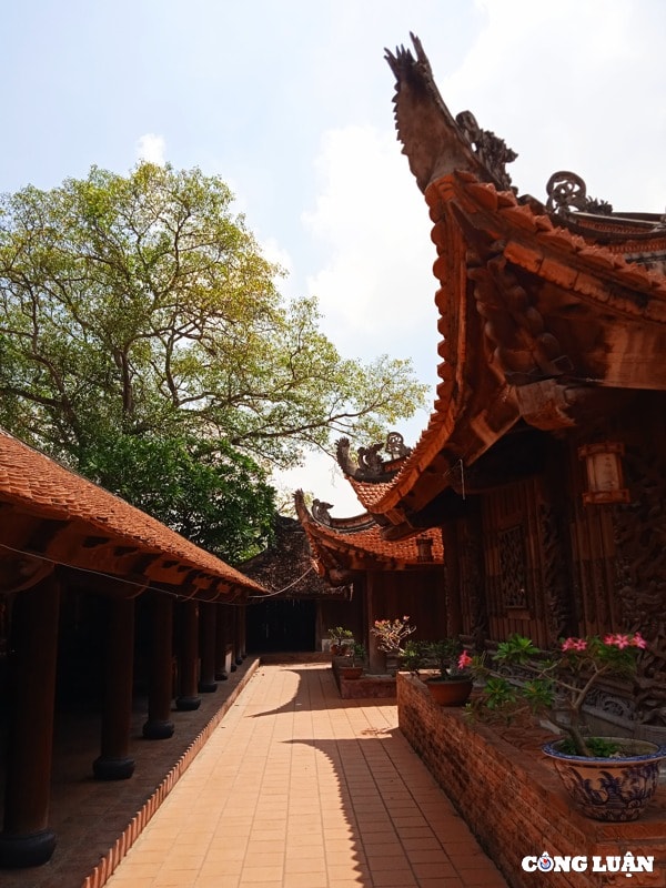 tham chua dau  de nhat danh lam xu bac hinh 5