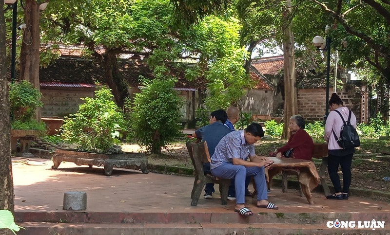 tham chua dau  de nhat danh lam xu bac hinh 11