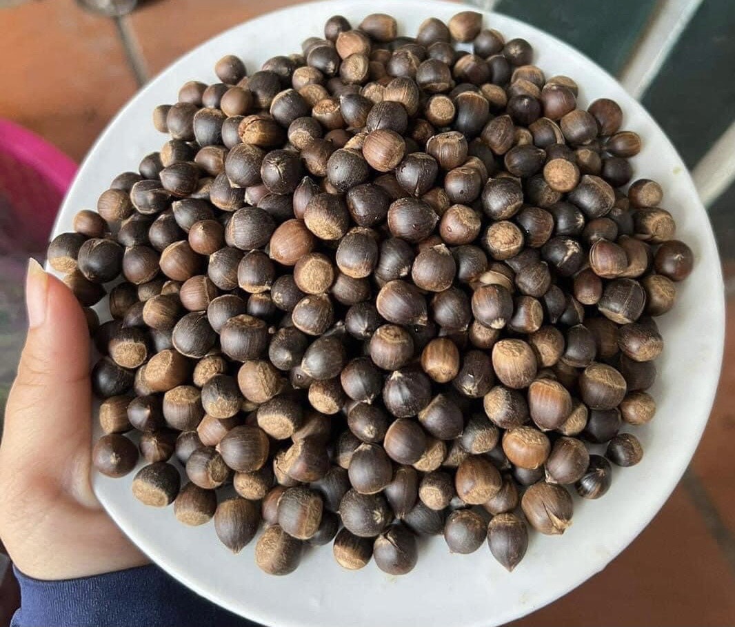 hat de rung dau mua duoc chi em san lung rao riet hinh 1