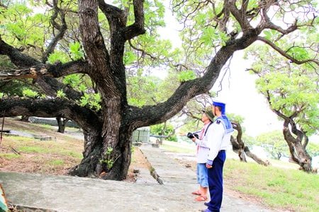 nguyen hong vinh suy ngam ve hanh phuc rieng chung hinh 5