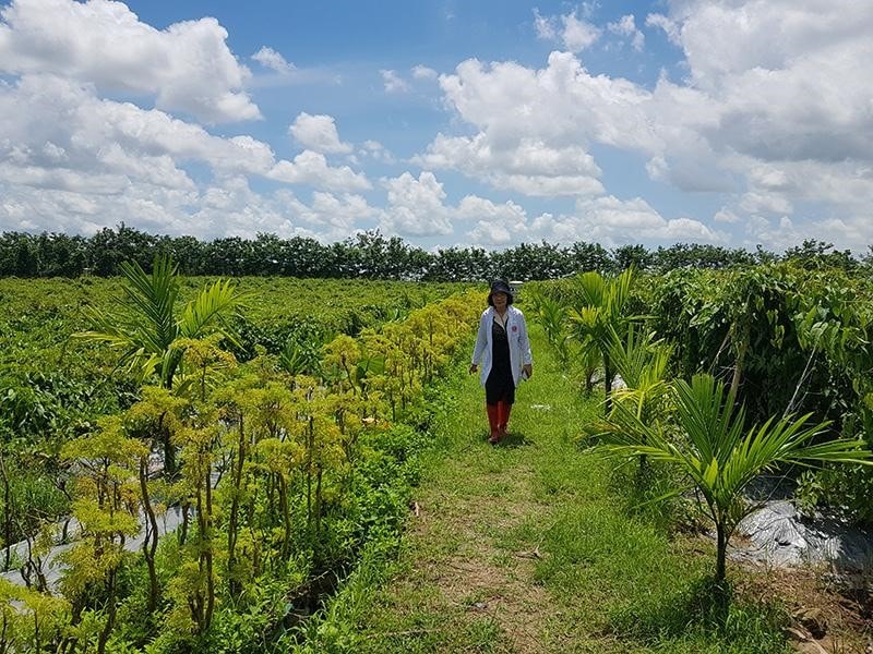 nhat nam y vien dia chi uy tin kham dieu tri benh bang y hoc co truyen tai ha noi hinh 4