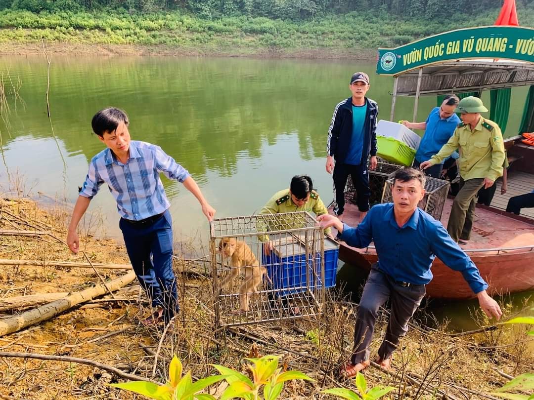 tai tha 13 ca the dong vat hoang da ve moi truong tu nhien o ha tinh hinh 2