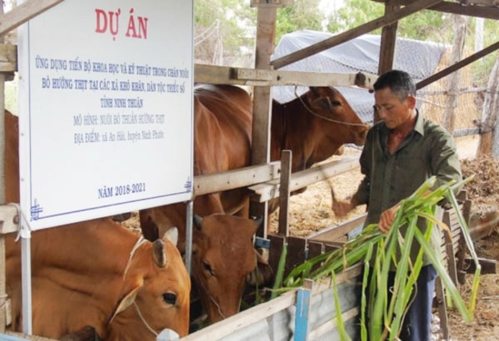 ninh thuan tin dung chinh sach dong hanh cung ba con dan toc thieu so hinh 1