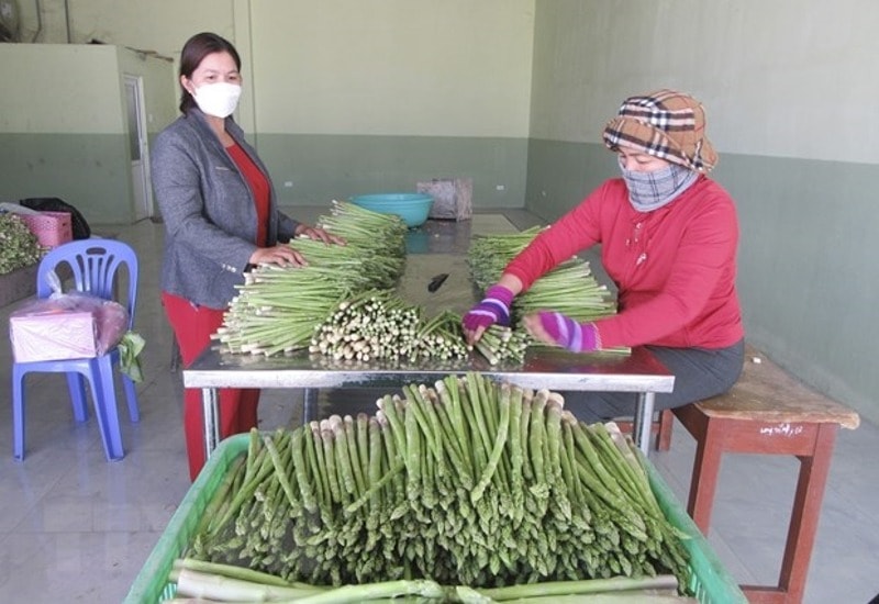 ninh thuan tin dung chinh sach dong hanh cung ba con dan toc thieu so hinh 2