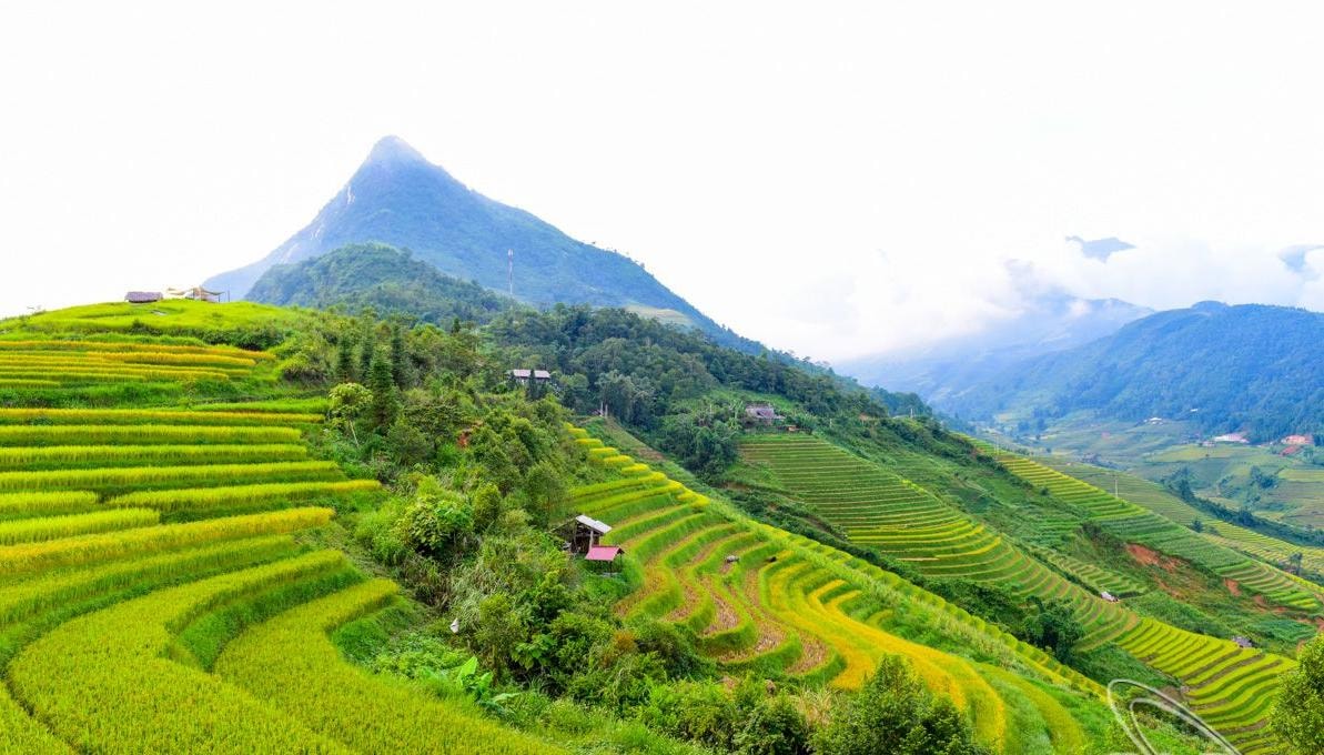 viet nam la diem den hoan hao cho dip mua dong 2022 hinh 2