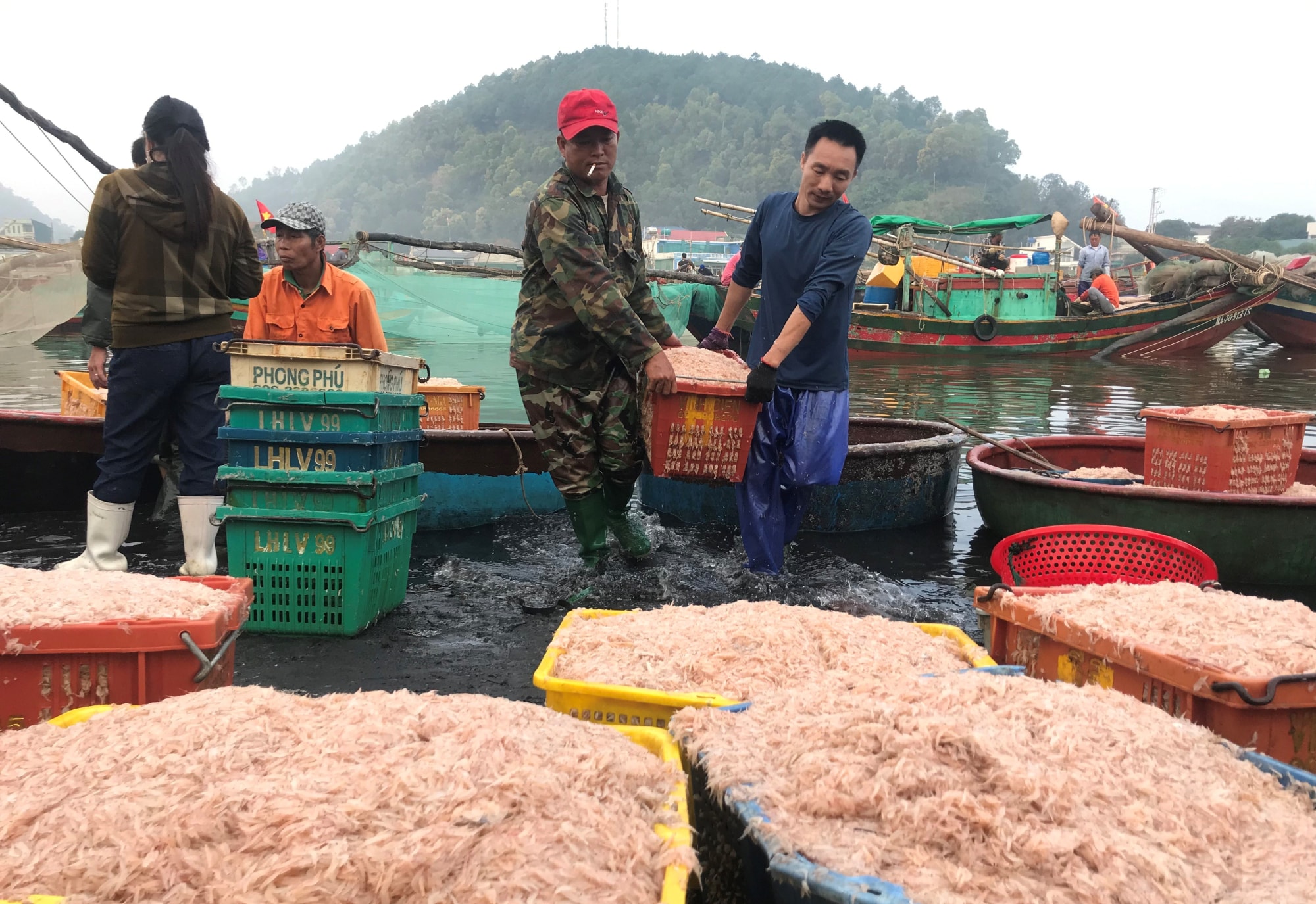ngu dan nghe an phan khoi vi boi thu ruoc bien hinh 1