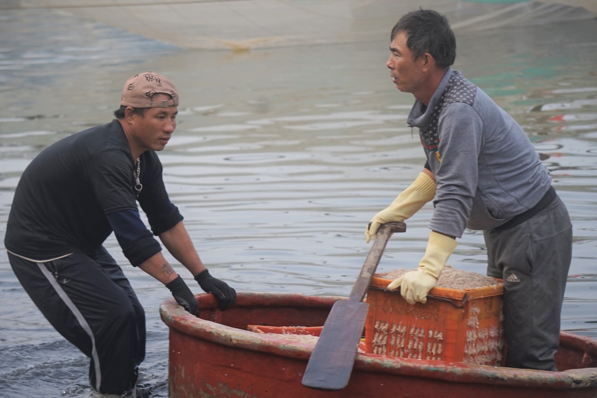 ngu dan nghe an phan khoi vi boi thu ruoc bien hinh 2