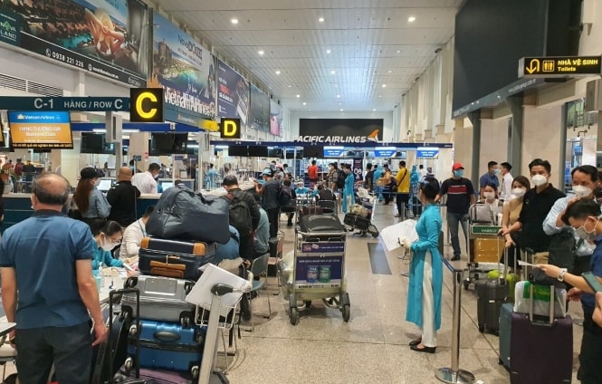ngan chan benh dau mua khi xam nhap qua duong hang khong hinh 1