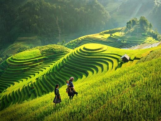 viet nam duoc chon la diem den di san hang dau the gioi nam 2022 hinh 3