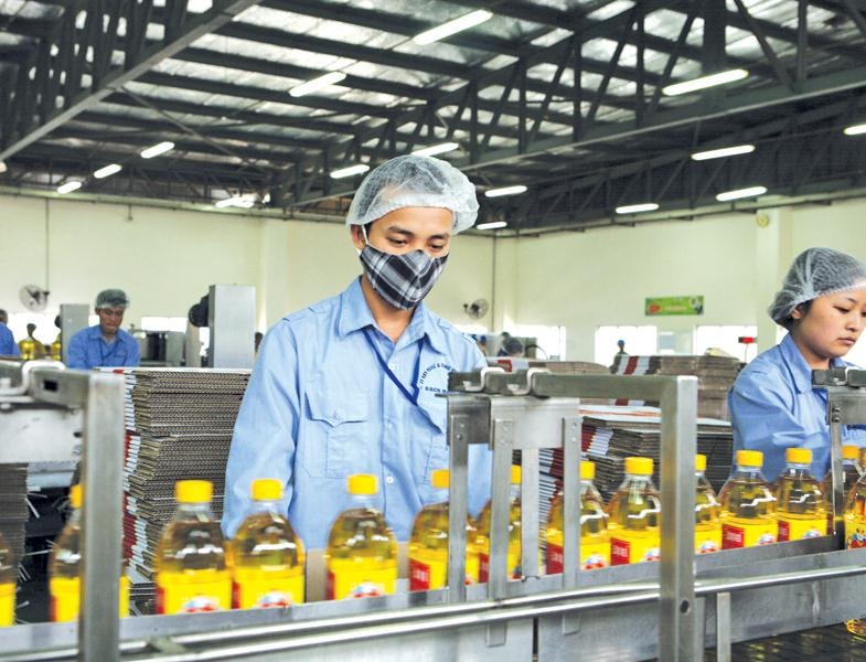 vocarimex voc  thanh vien cua kido sap thoai von 2158 ty dong khoi calofic hinh 1