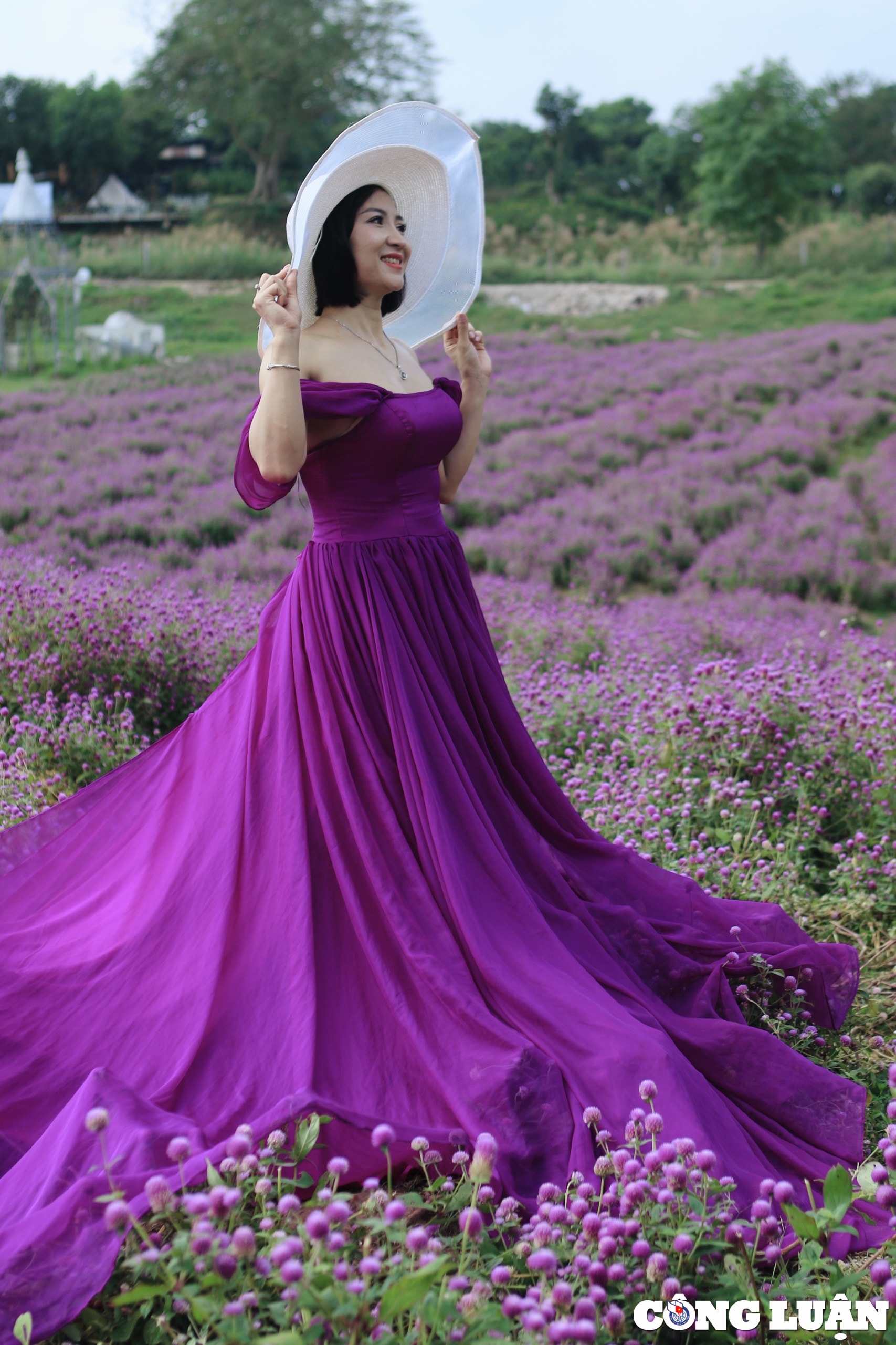 gioi tre ha noi dua nhau chup hinh ben vuon hoa cuc bach nhat hinh 14