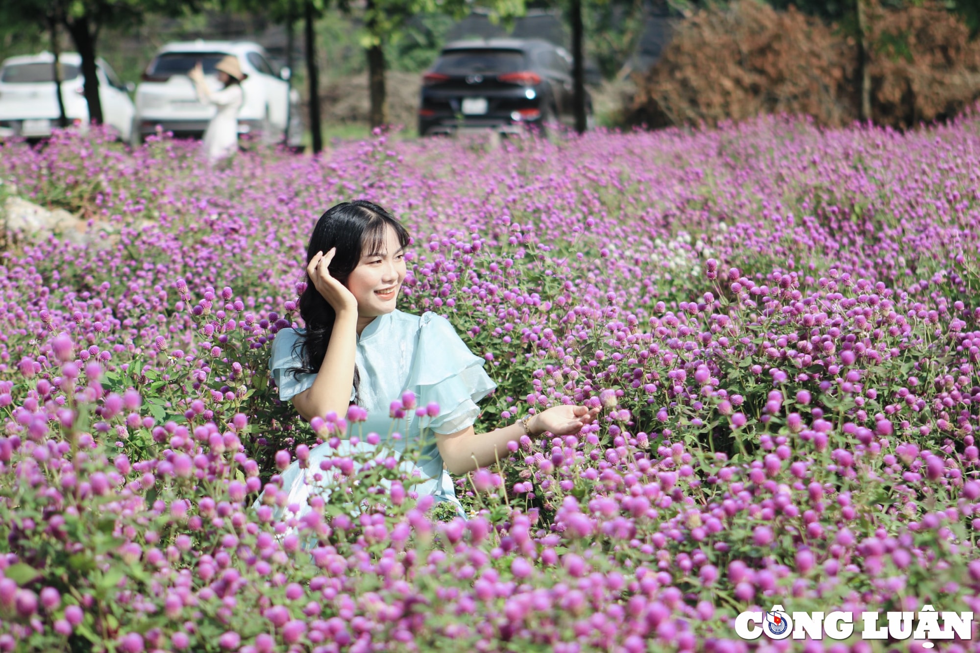 gioi tre ha noi dua nhau chup hinh ben vuon hoa cuc bach nhat hinh 8