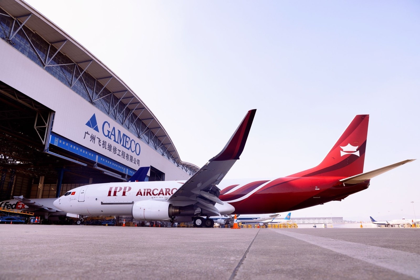 ipp air cargo xin dung cap giay phep bay la mong muon cua doanh nghiep hinh 1