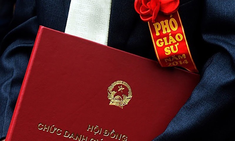 viet nam co them 34 giao su va 349 pho giao su hinh 1
