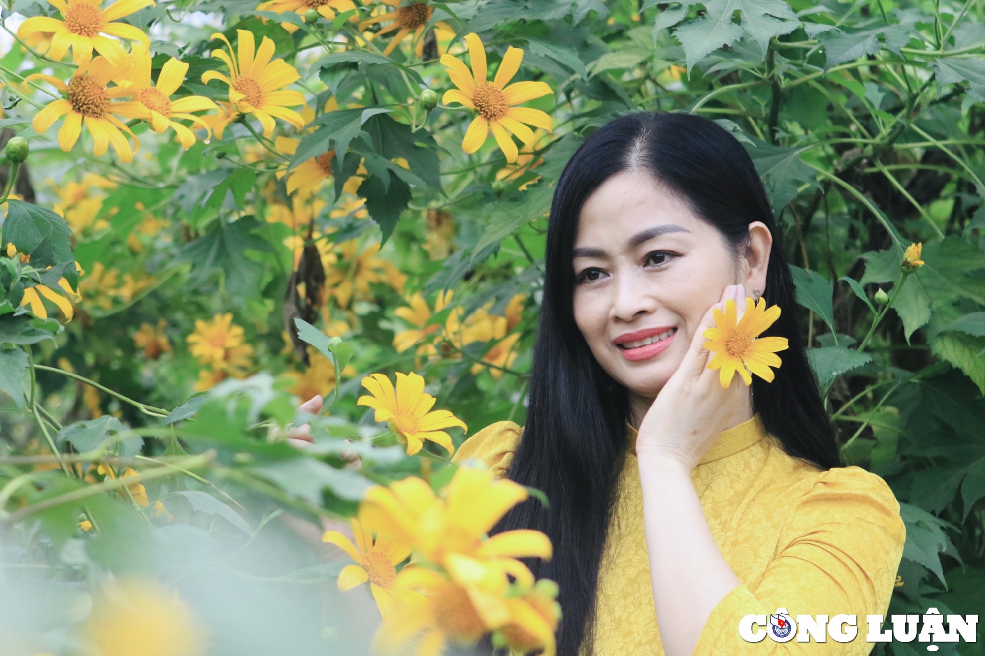 xuat hien vuon hoa da quy sieu dep giua trung tam thu do ha noi hinh 13
