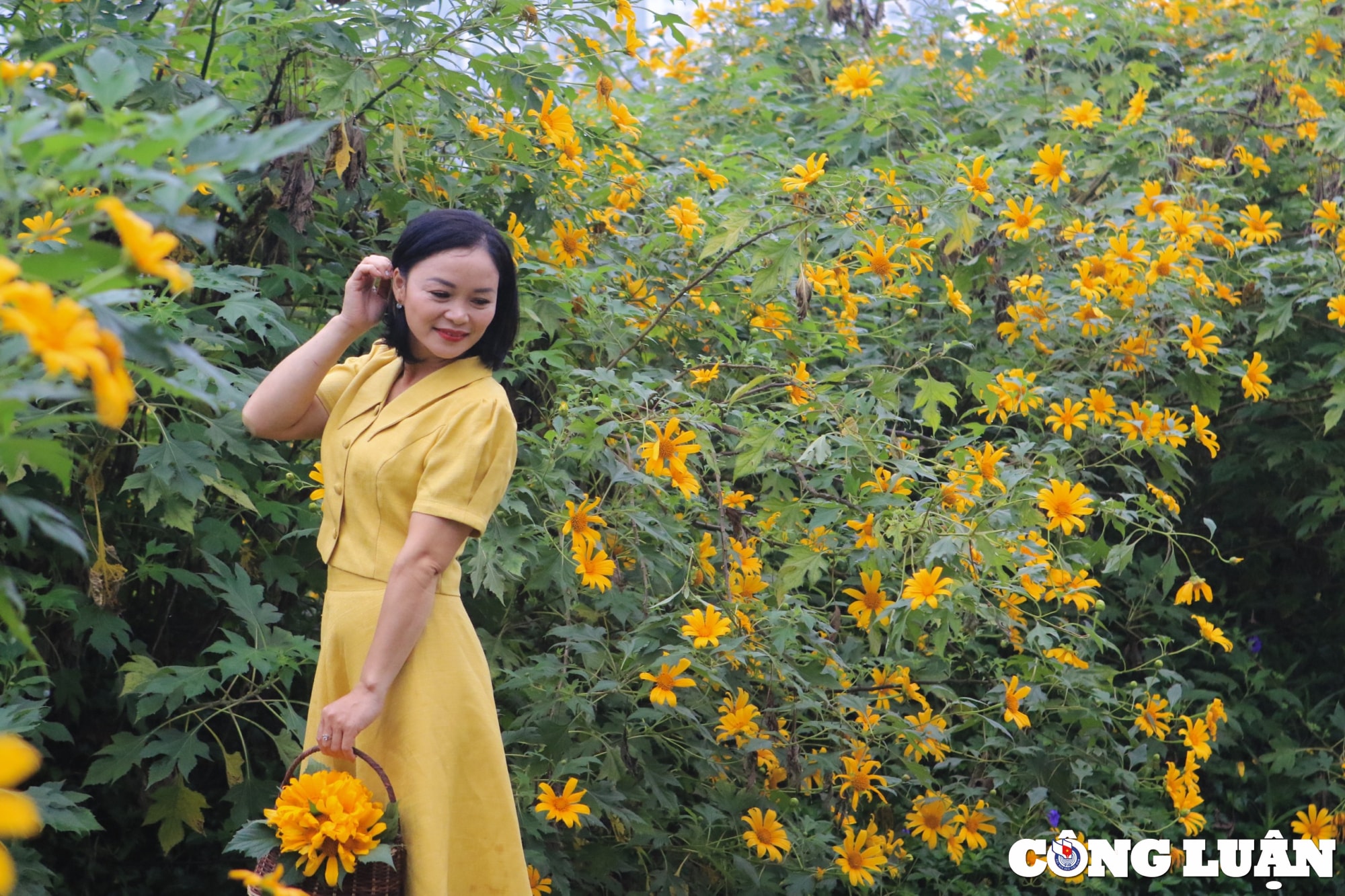 xuat hien vuon hoa da quy sieu dep giua trung tam thu do ha noi hinh 14