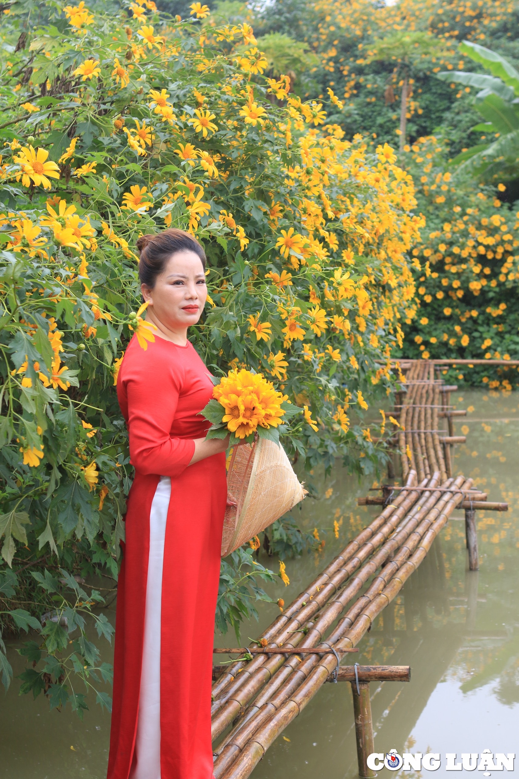 xuat hien vuon hoa da quy sieu dep giua trung tam thu do ha noi hinh 7
