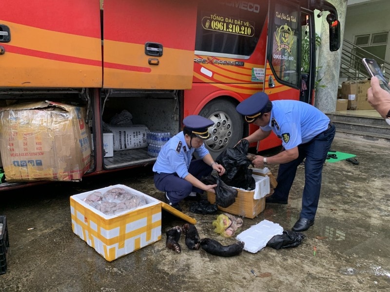 bat qua tang o to van chuyen ca the dong vat hoang da tai quang binh hinh 1
