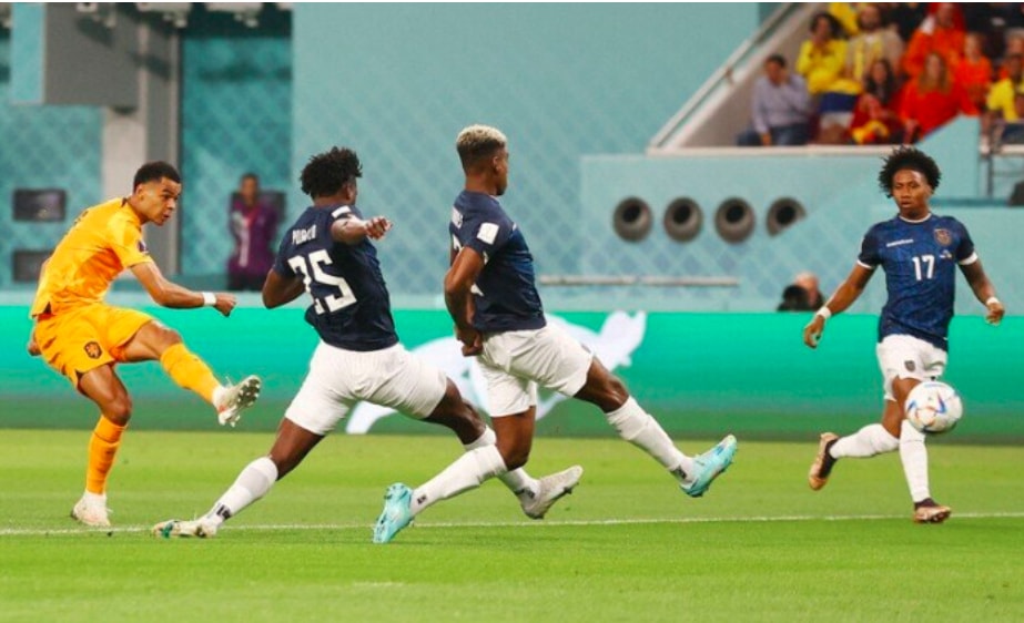 nhan dinh ha lan vs qatar 22h ngay 29 11 bang a world cup 2022 hinh 2