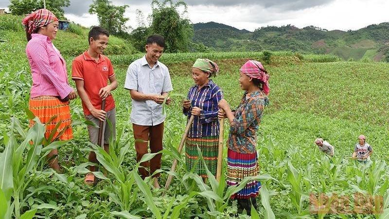 khang dinh vai tro cua dao tao nghe tao viec lam trong giam ngheo ben vung hinh 2
