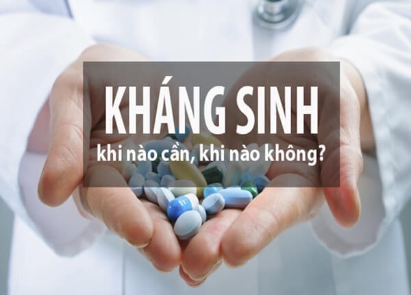 tinh trang khang thuoc khang sinh tang cao hinh 1