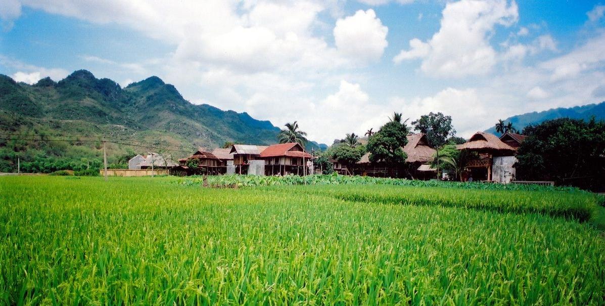 8 cung duong trekking tuyet dep o viet nam hinh 5