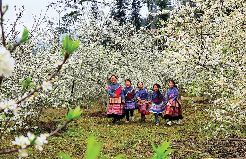 8 cung duong trekking tuyet dep o viet nam hinh 2