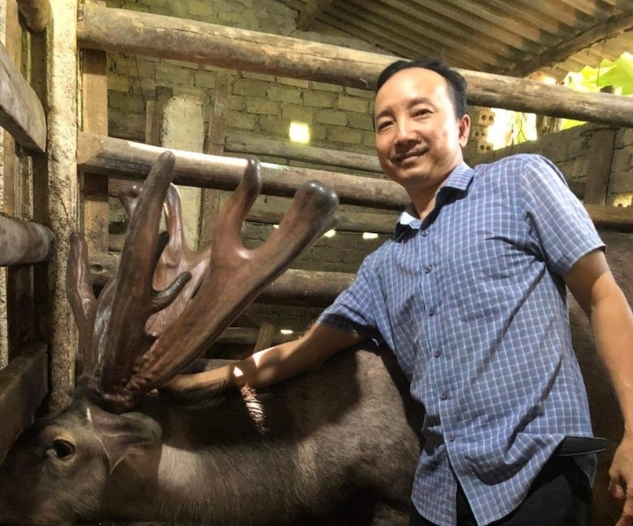 cap nhung nai khung nang gan 11kg gia 110 trieu dong hinh 2
