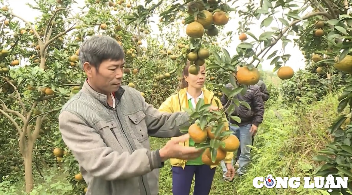 ve ham yen tham vung dat cam sanh nuc tieng hinh 1
