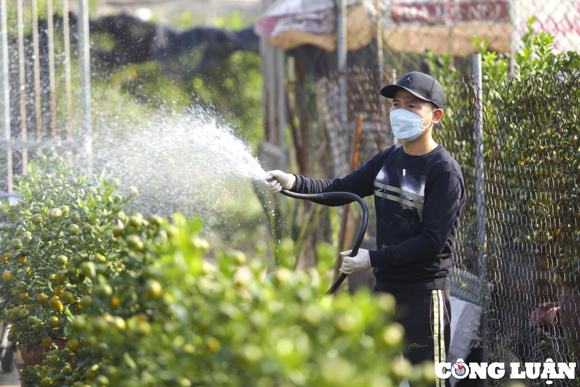 ha noi lang quat tu lien tat bat chuan bi vao vu tet hinh 5