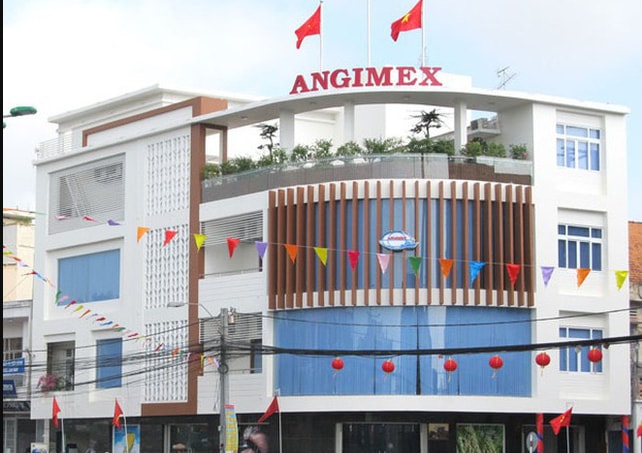 angimex agm thua lo hang chuc ty mat kha nang tra no lanh dao vua rut don tu nhiem truoc dhdcd bat thuong hinh 1