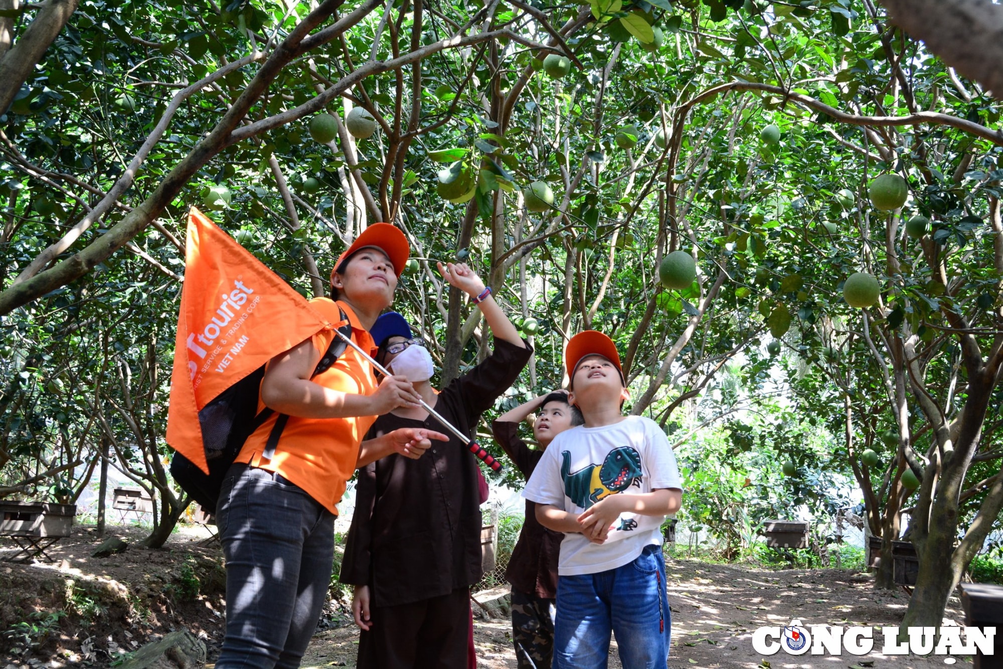 tour du lich dip tet duong lich 2023 kem soi dong hinh 1
