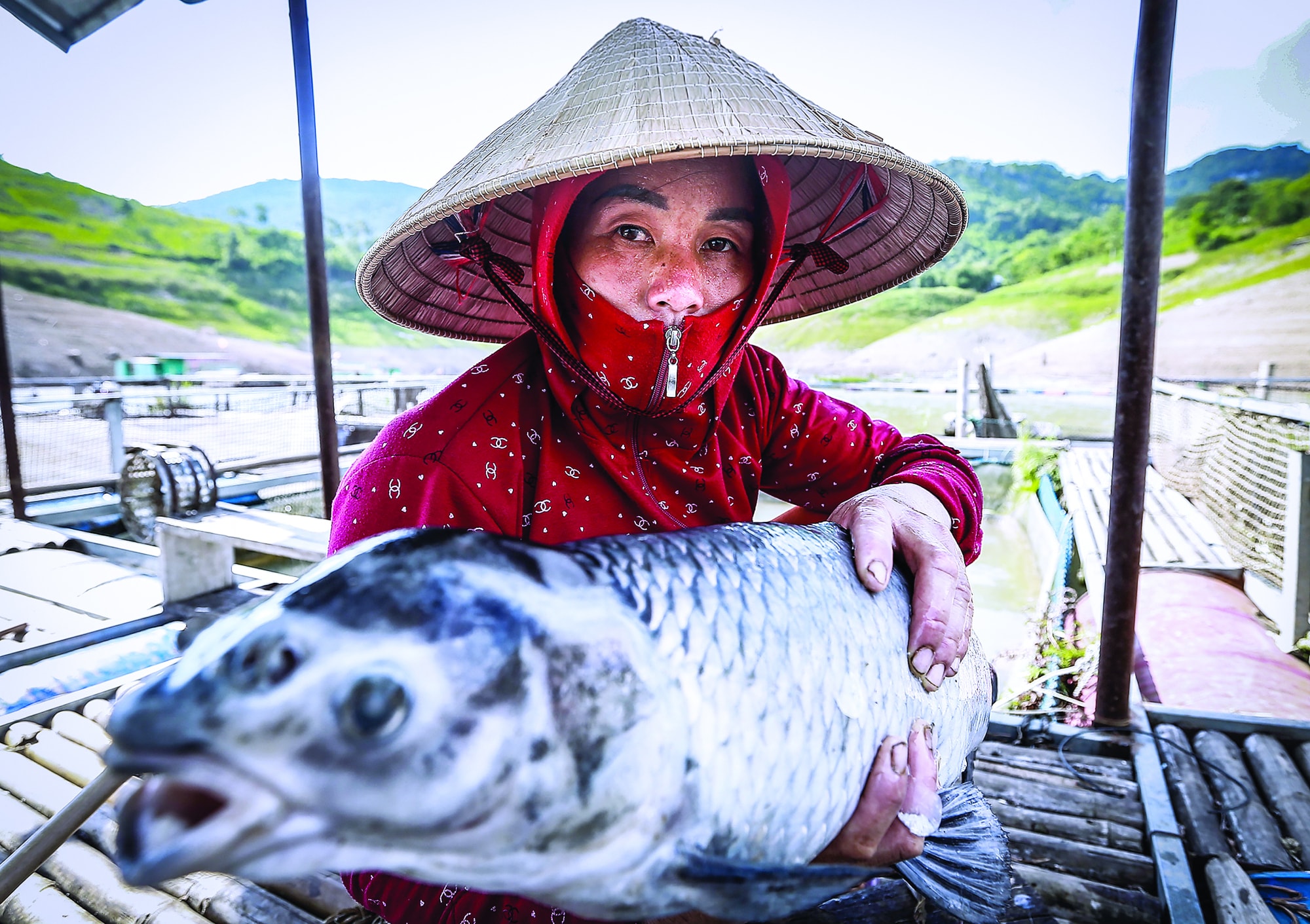 nhung buc anh la cau noi cho nhung gia tri nhan van duoc lan toa hinh 5