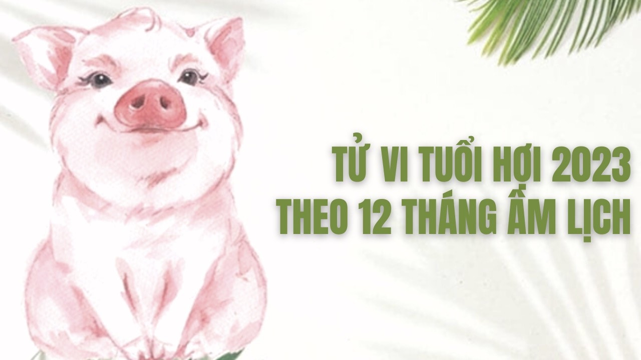tu vi tuoi hoi nam 2023 theo 12 thang am lich hinh 1