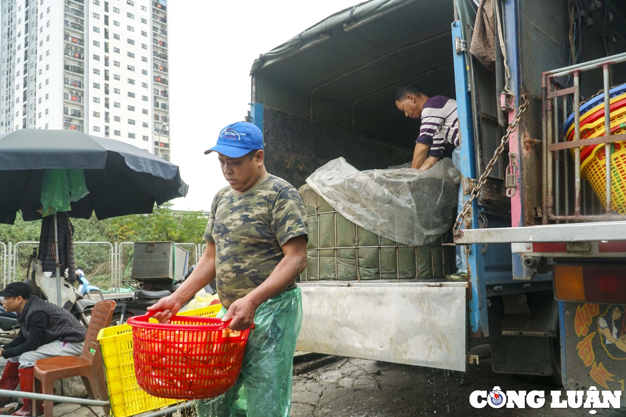 ha noi ca chep cung ong cong ong tao ruc do cho ca yen so hinh 2