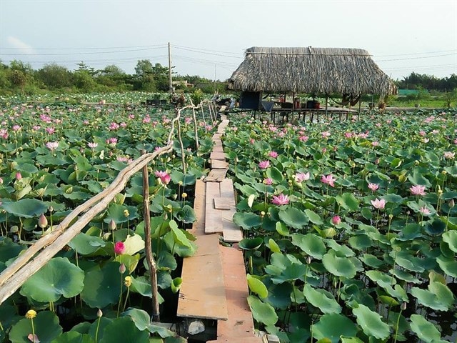 dong thap phat trien du lich cham soc suc khoe hinh 2