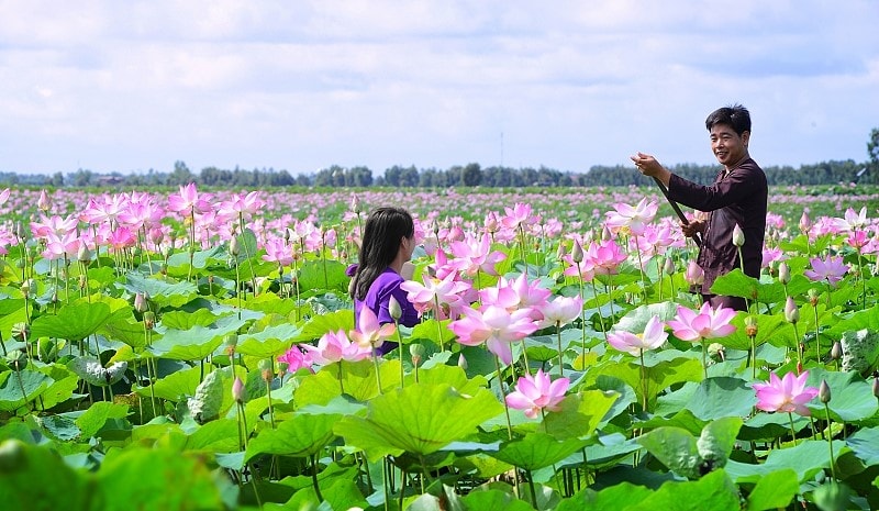 dong thap phat trien du lich cham soc suc khoe hinh 3