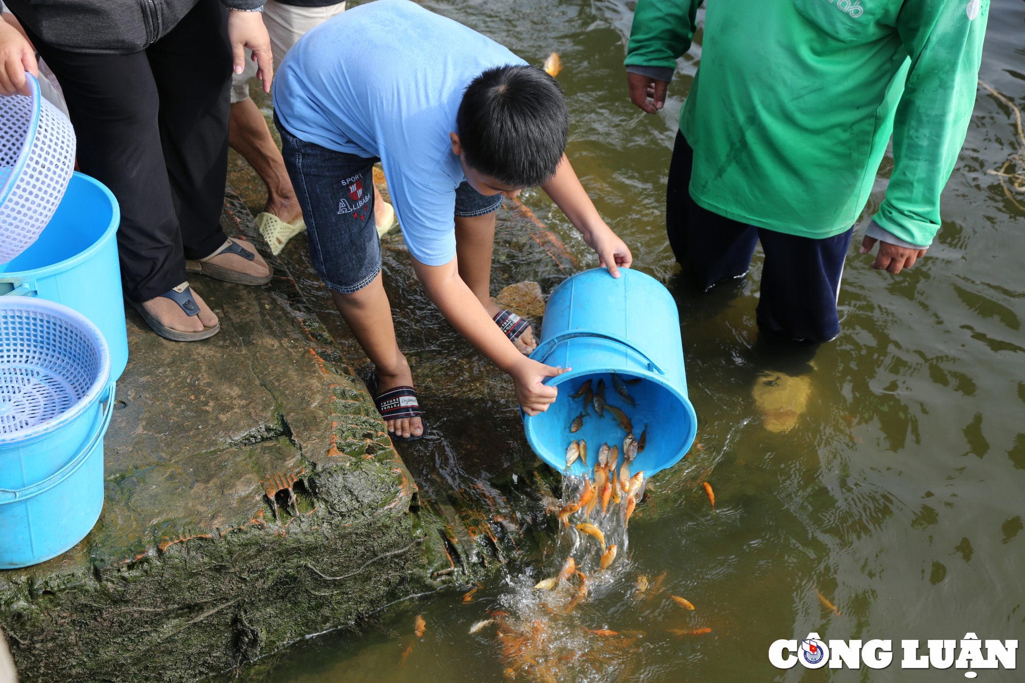 nguoi dan tp hcm chi tien trieu tha ca chep tien ong cong ong tao hinh 9