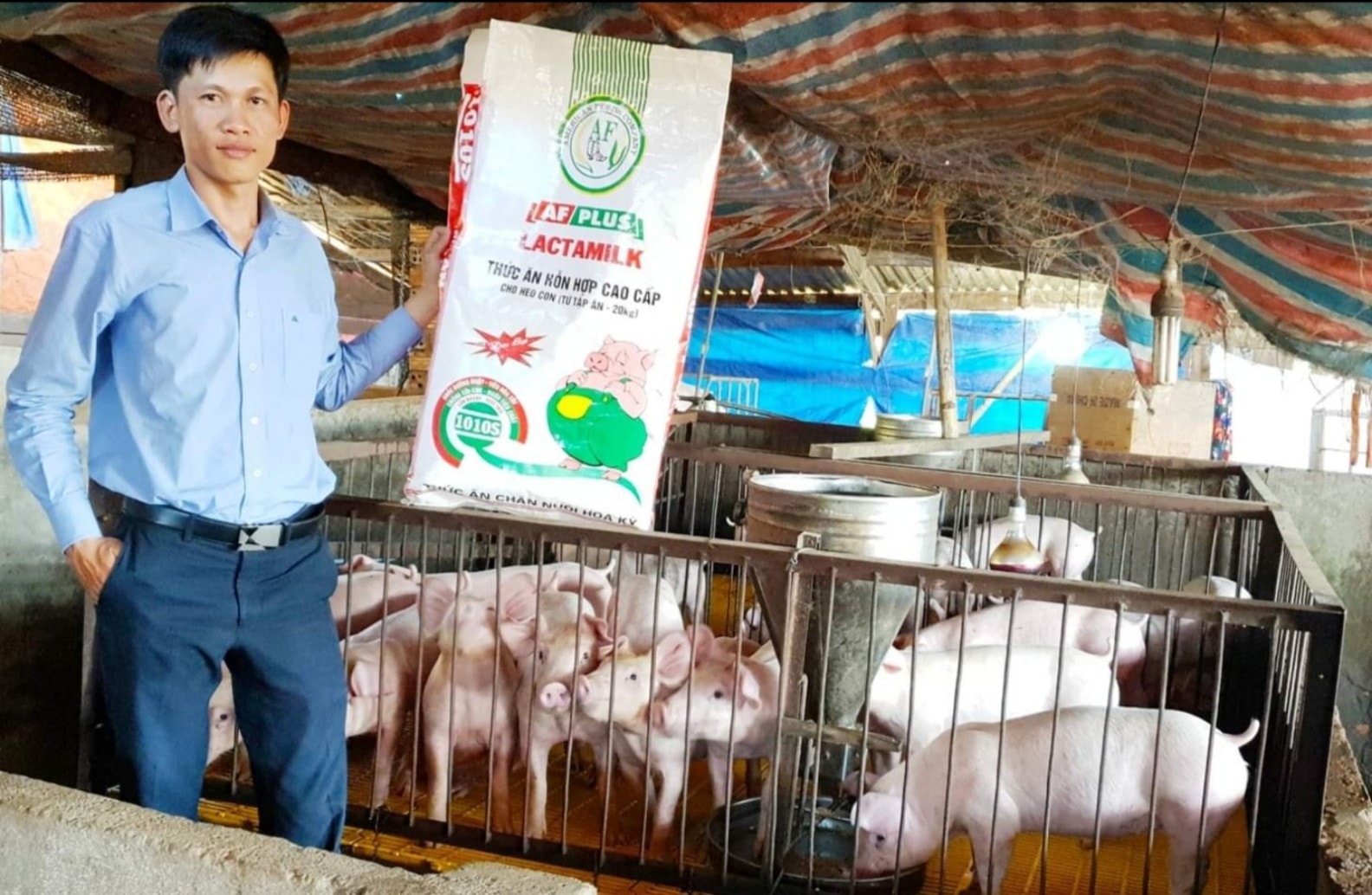 ceo fastship pham van hoang chung ta chi that su that bai khi khong lam gi nua hinh 1