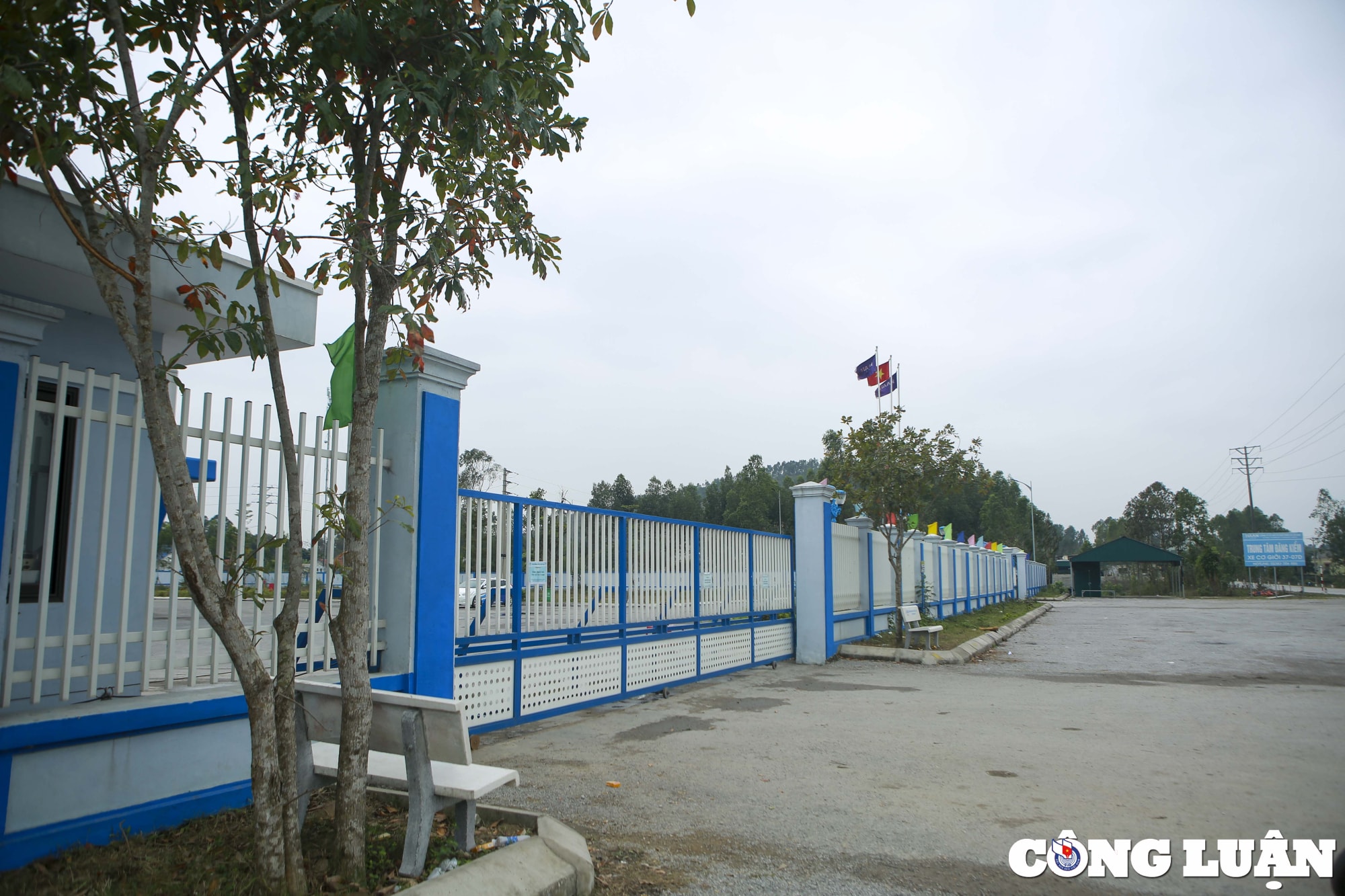 dang kiem o to o nghe an mua banh nuoc xep hang tu 1 gio sang hinh 16
