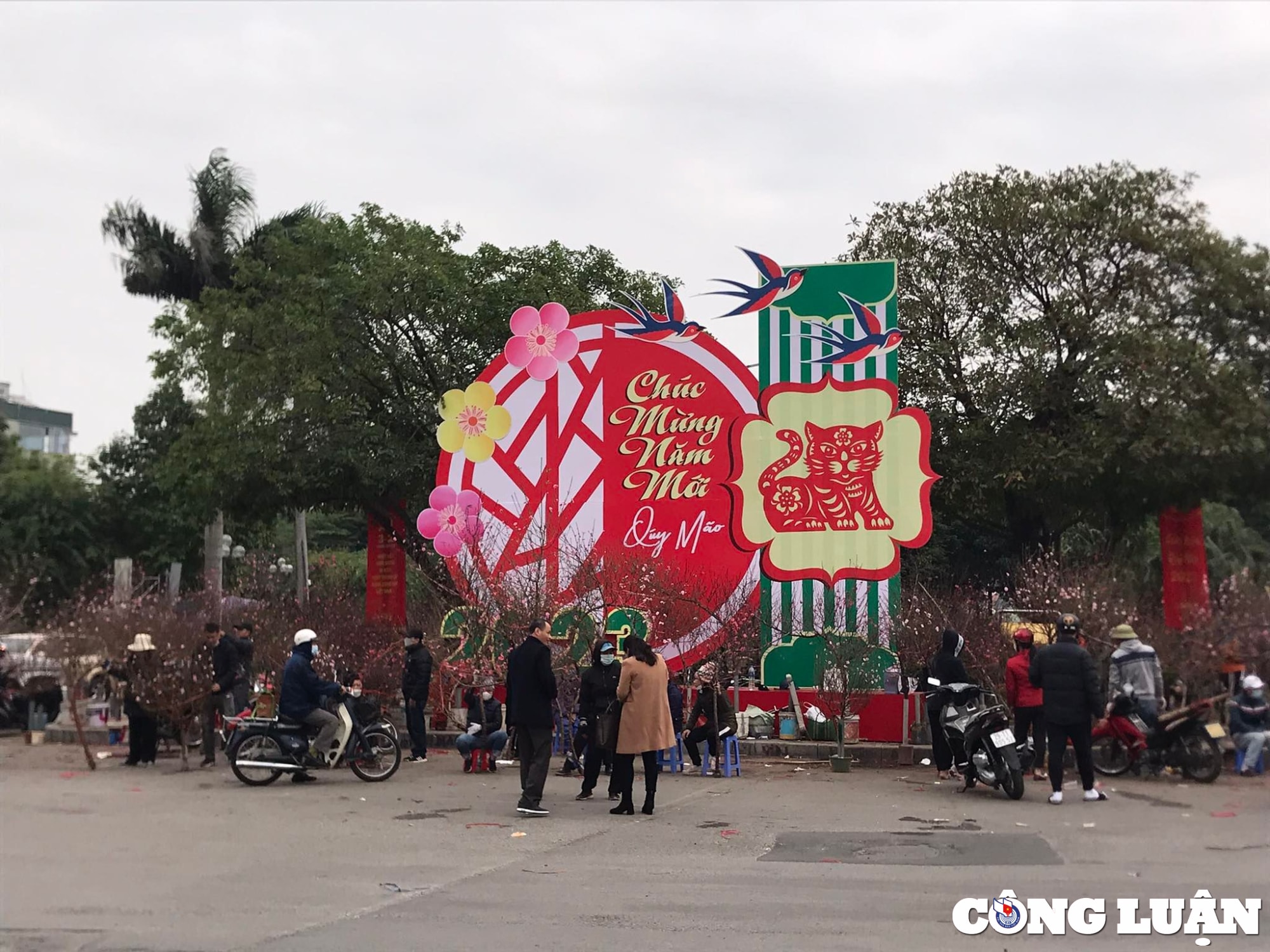 dao quat sale sap san van vang khach mua hinh 3