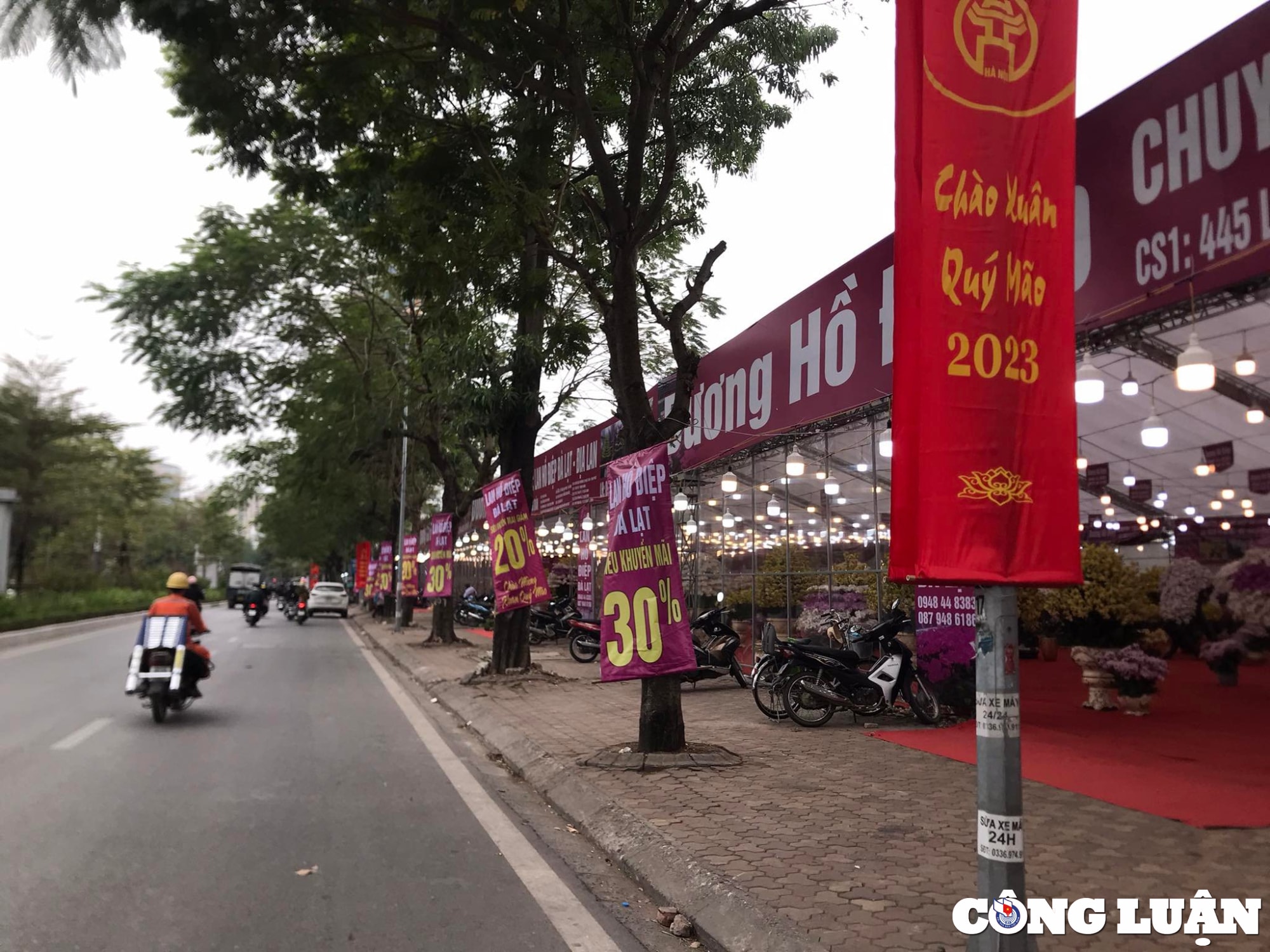 dao quat sale sap san van vang khach mua hinh 4